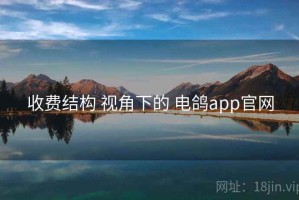 收费结构 视角下的 电鸽app官网