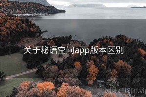 关于秘语空间app版本区别