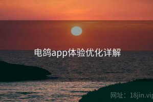 电鸽app体验优化详解