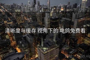 清晰度与缓存 视角下的 电鸽免费看