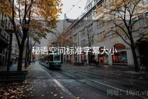 秘语空间标准字幕大小