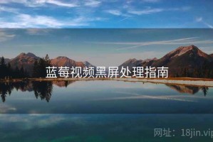 蓝莓视频黑屏处理指南