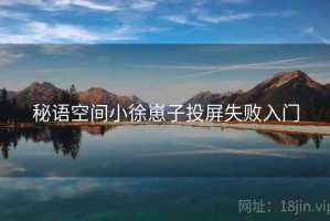秘语空间小徐崽子投屏失败入门