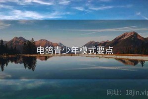 电鸽青少年模式要点