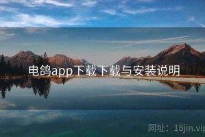 电鸽app下载下载与安装说明