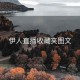 伊人直播收藏夹图文