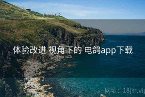 体验改进 视角下的 电鸽app下载