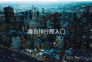 趣岛排行榜入门