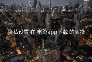 隐私设置 在 电鸽app下载 的实操