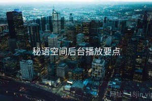秘语空间后台播放要点