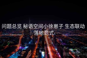 问题总览 秘语空间小徐崽子 生态联动 落地范式