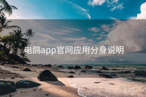电鸽app官网应用分身说明