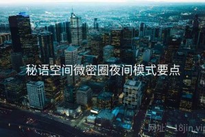 秘语空间微密圈夜间模式要点