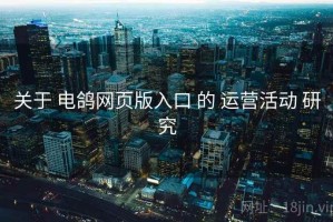 关于 电鸽网页版入口 的 运营活动 研究