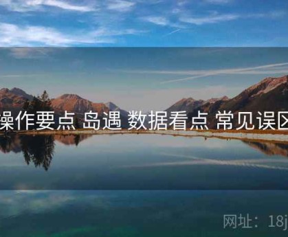 操作要点 岛遇 数据看点 常见误区