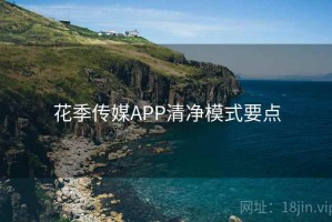 花季传媒APP清净模式要点