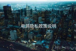 电鸽隐私政策说明