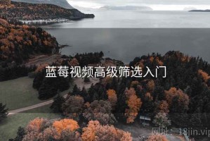 蓝莓视频高级筛选入门