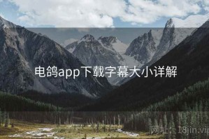 电鸽app下载字幕大小详解