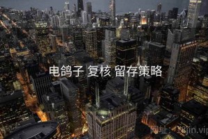 电鸽子 复核 留存策略