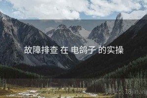 故障排查 在 电鸽子 的实操