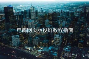 电鸽网页版投屏教程指南