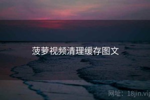 菠萝视频清理缓存图文