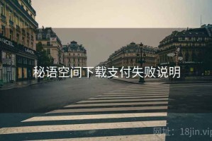 秘语空间下载支付失败说明