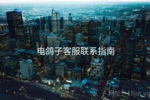 电鸽子客服联系指南