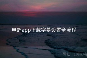 电鸽app下载字幕设置全流程