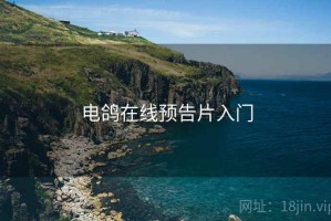 电鸽在线预告片入门