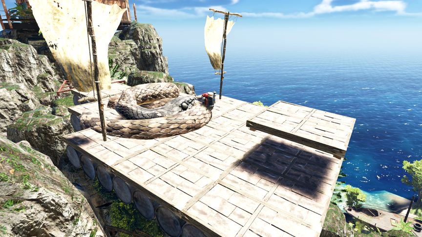 岛遇写真福利社 | 热门写真与粉丝互动