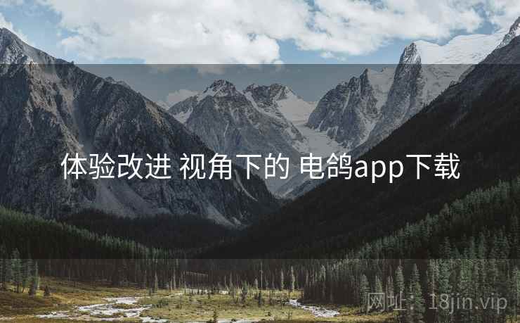 体验改进 视角下的 电鸽app下载 体验改进 视角下的 电鸽app下载