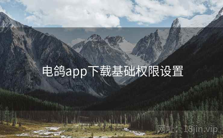 电鸽app下载基础权限设置 电鸽app下载基础权限设置