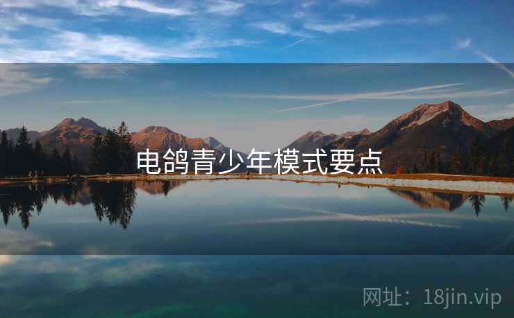 电鸽青少年模式要点 电鸽青少年模式要点