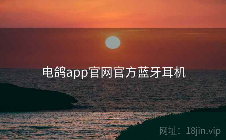 电鸽app官网官方蓝牙耳机 电鸽app官网官方蓝牙耳机