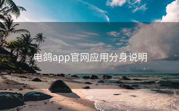 电鸽app官网应用分身说明 电鸽app官网应用分身说明