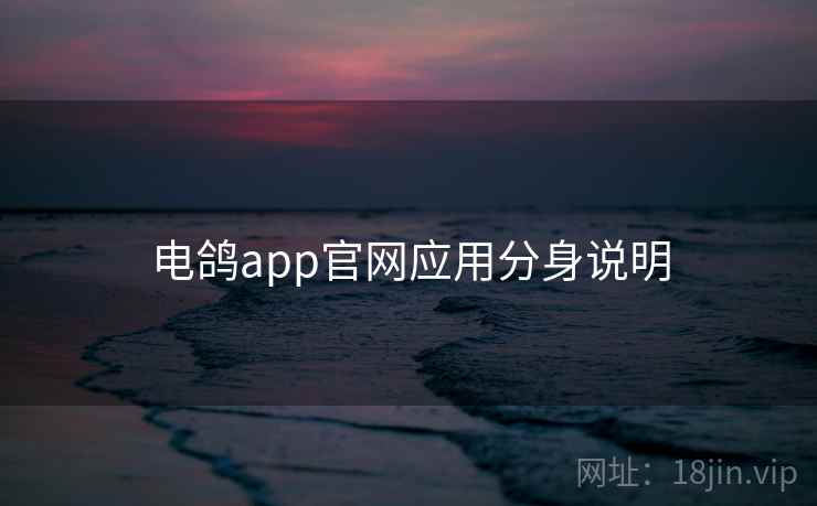 电鸽app官网应用分身说明 电鸽app官网应用分身说明