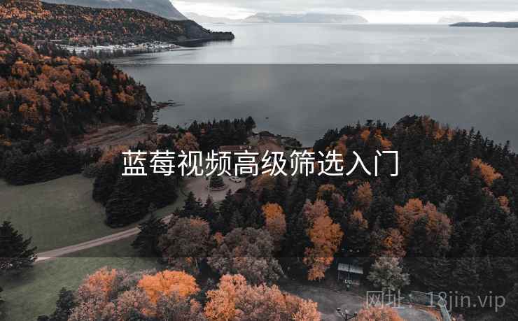 蓝莓视频高级筛选入门