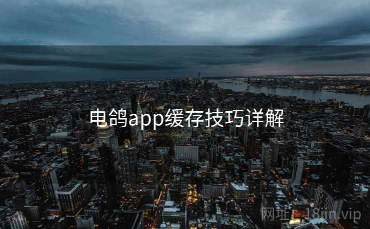 电鸽app缓存技巧详解 电鸽app缓存技巧详解