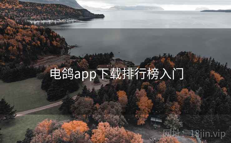 电鸽app下载排行榜入门 电鸽app下载排行榜入门