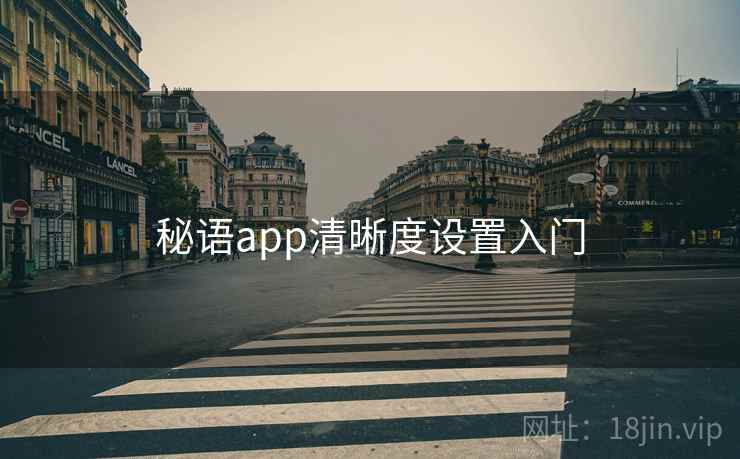 秘语app清晰度设置入门 秘语app清晰度设置入门