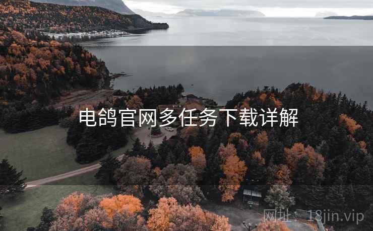 电鸽官网多任务下载详解