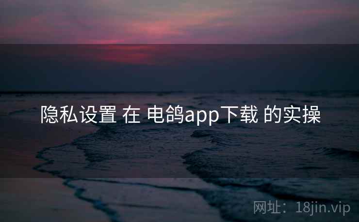 隐私设置 在 电鸽app下载 的实操 隐私设置 在 电鸽app下载 的实操